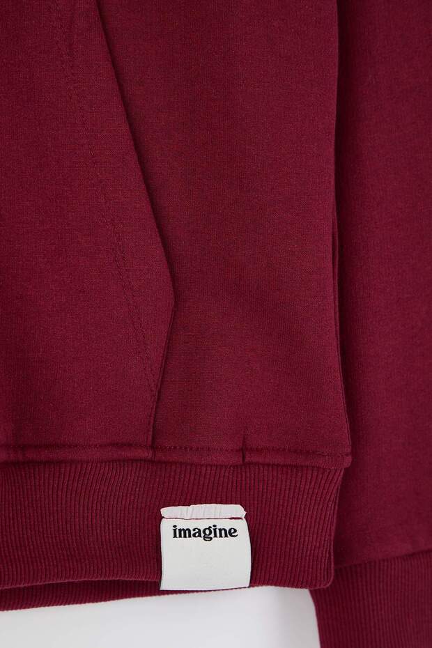 Bordo- Lacivert 2'li Paket Kapüşonlu Regular Kesim İçi Polarlı Sweatshirt TMNAW24SW00000 - 11