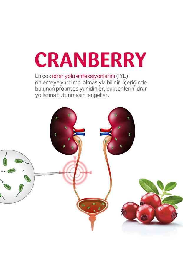 CRANBERRY 60 KAPSÜL - 3