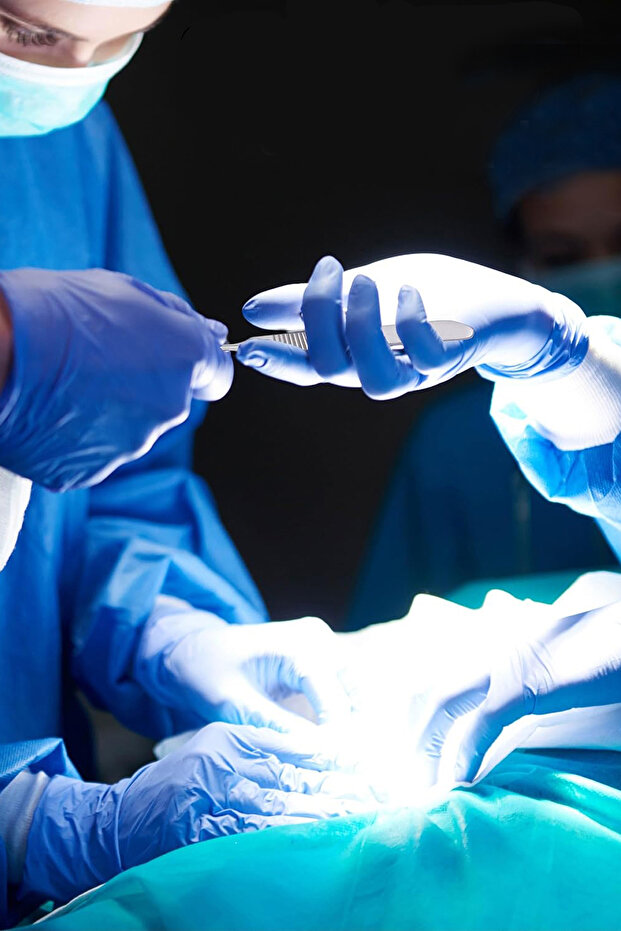 Bistüri Sapı No:3 / Steril - Paslanmaz - 8