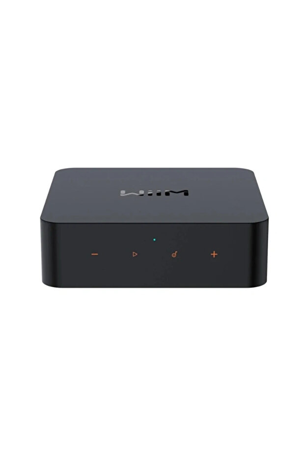 PRO PLUS Network Player / Streamer - 1