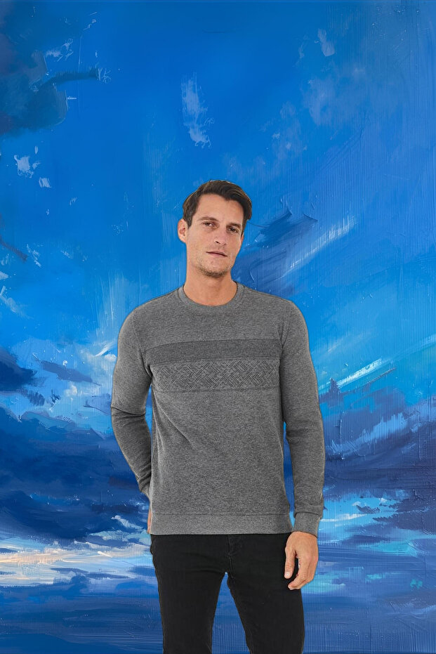 Men's Crew Neck Patterned Long Basic Sweatshirt Gray - 6