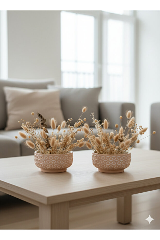 2 Li Krem Set Saksı - 3