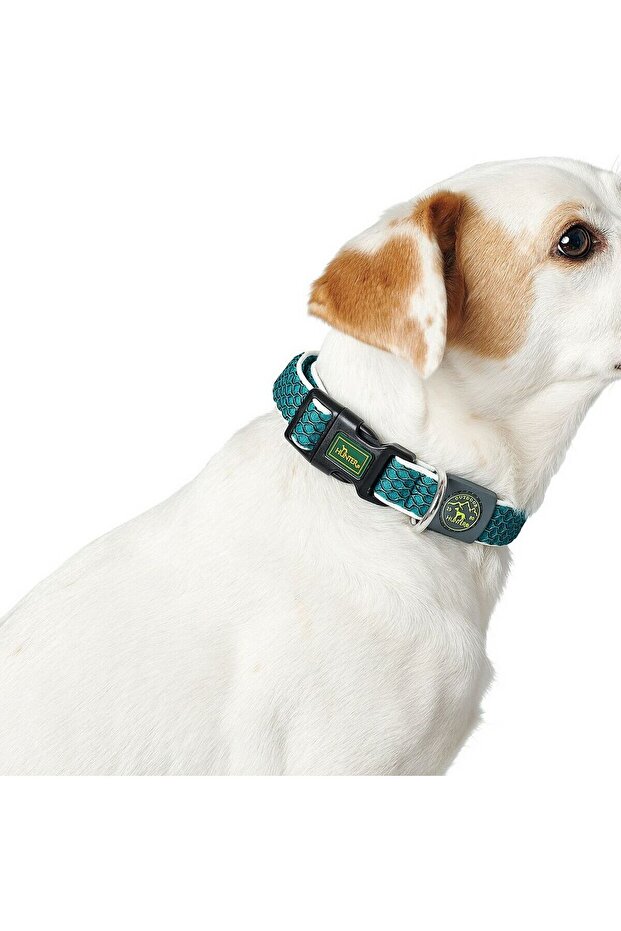 Dog collar Basic Thread Orange Size M (33-50 cm) - 2