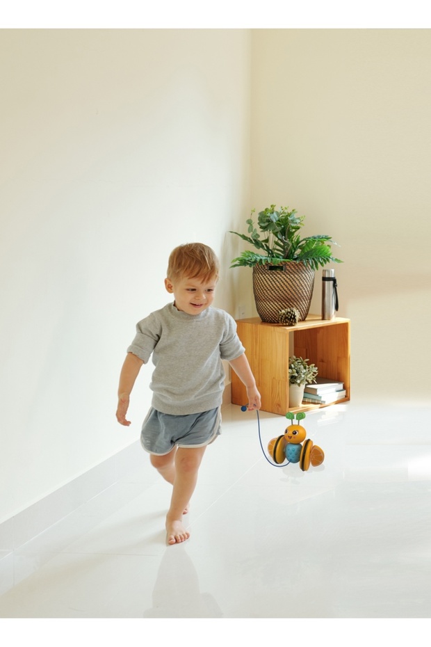 OrangieFly Pull-along Toy, - 3