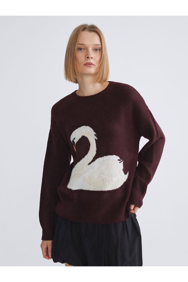 Esvab • Modern & Distinctive Swan Embroidered Loose Fit Women's Knitwear Sweater