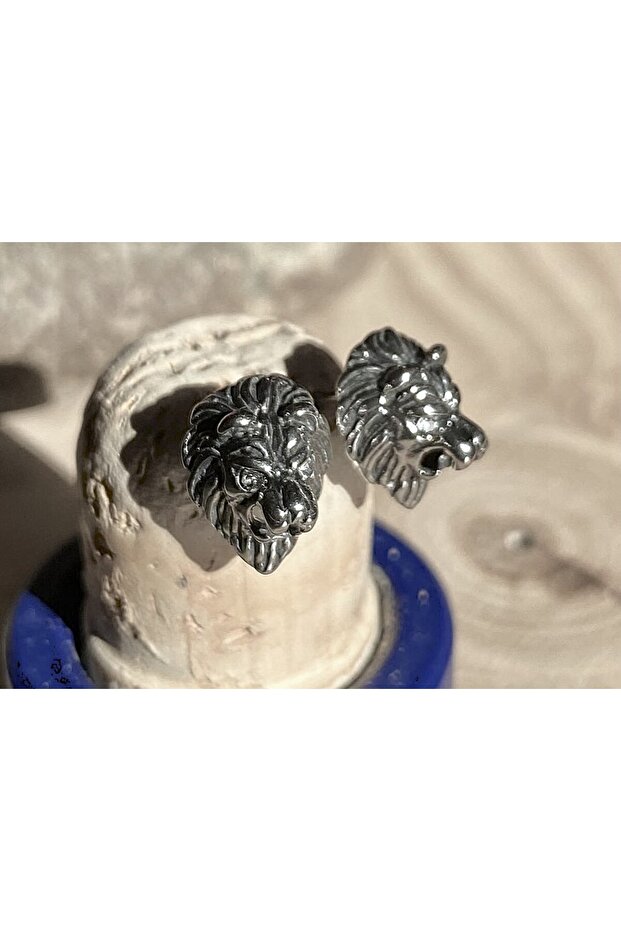 Aslan Design Nail Model S+ Quality 316L Stainless & Non-Tarnish Steel Earrings Pair