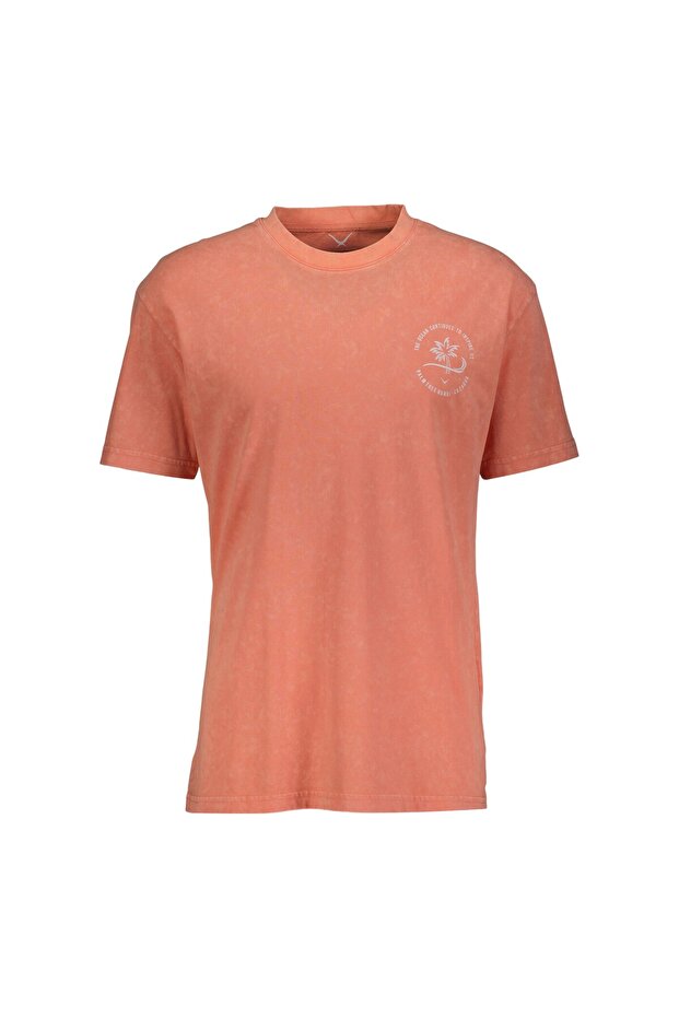Men's Printed Crew Neck T-Shirt 24Yceeo04084