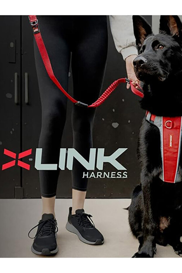 X-link Harness - 1