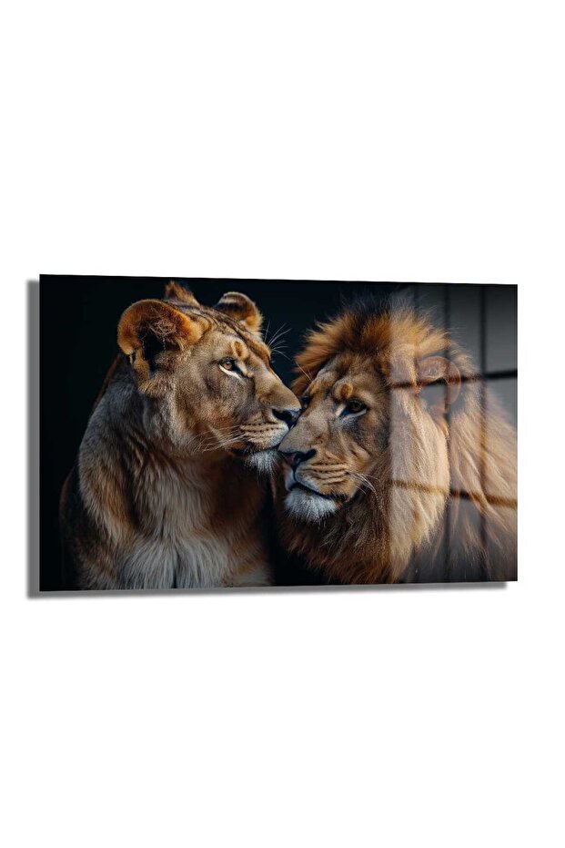 Aslan Çift Cam Tablo - 1