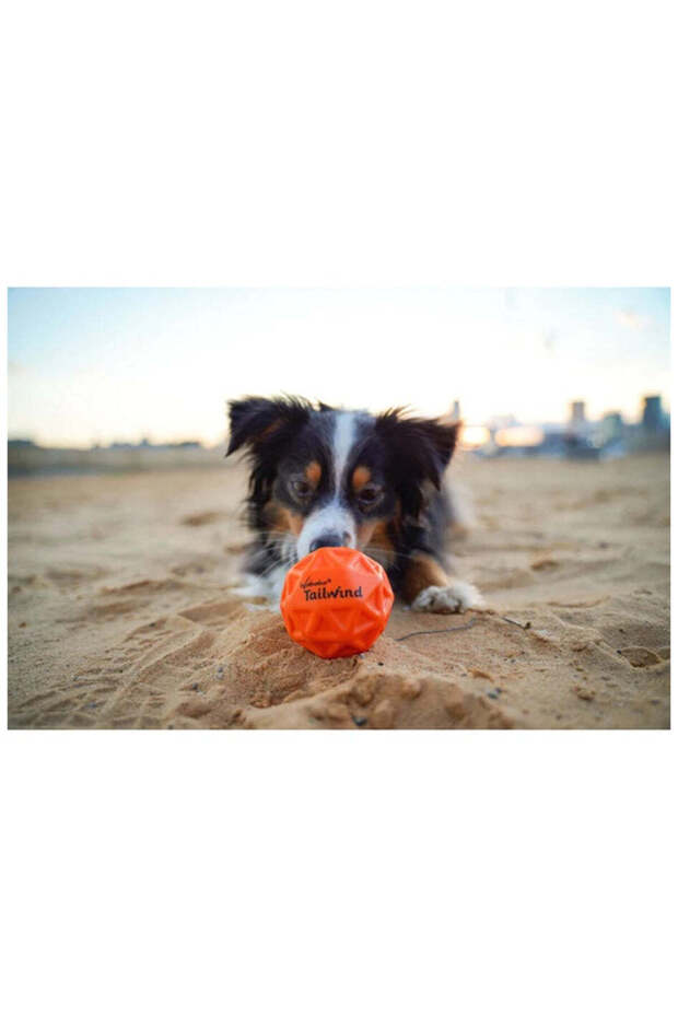 Hyper bouncing ball for dogs - Tailwind - 2