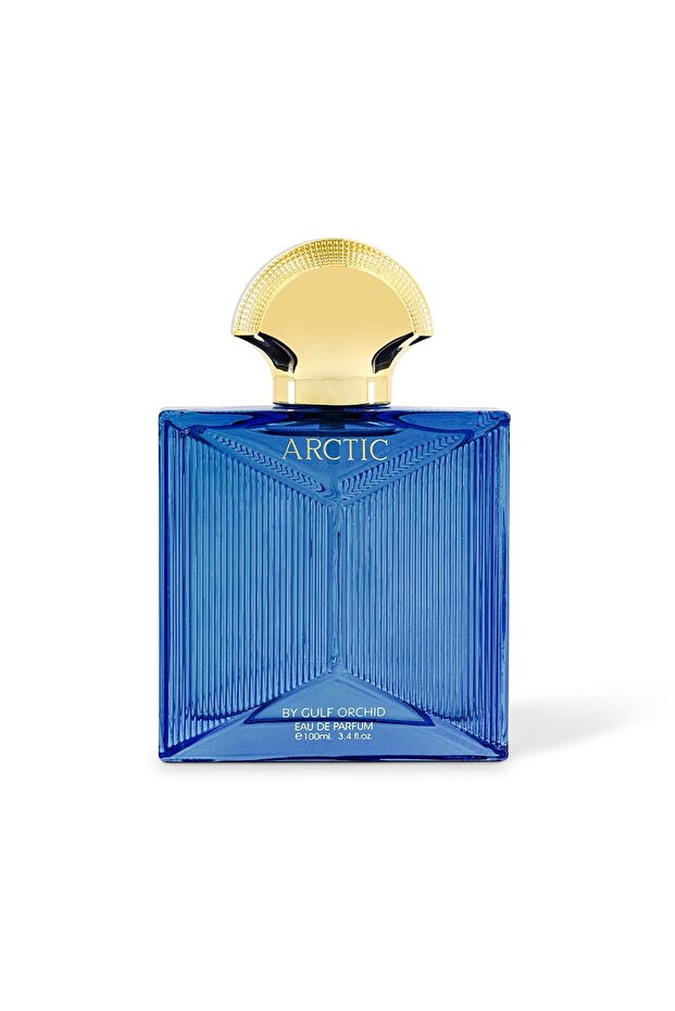 ARCTIC 100 ML - EDP