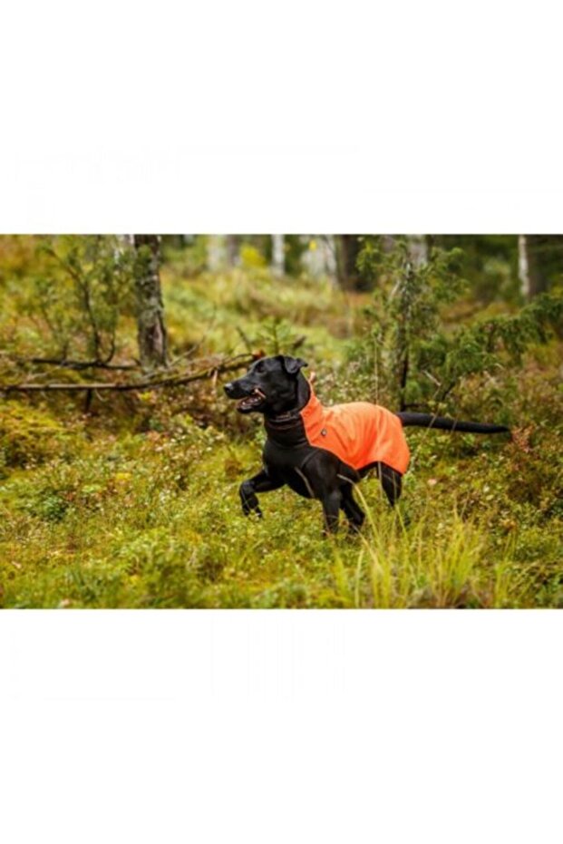 water- and wind-resistant softshell jacket LUCKY SOFTSHELL - 1