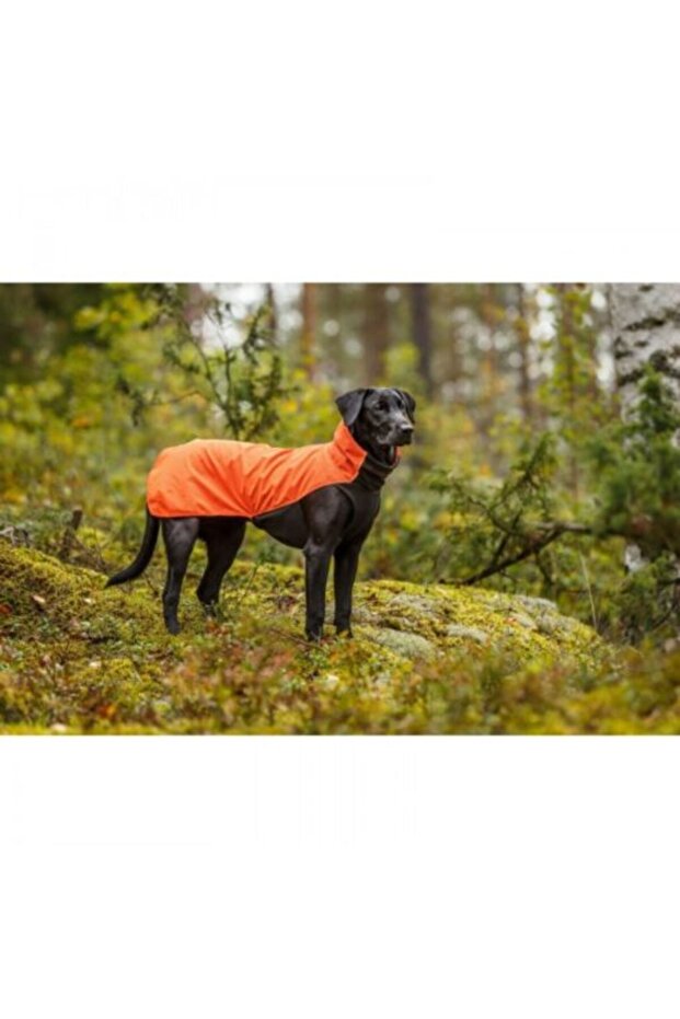 water- and wind-resistant softshell jacket LUCKY SOFTSHELL - 3