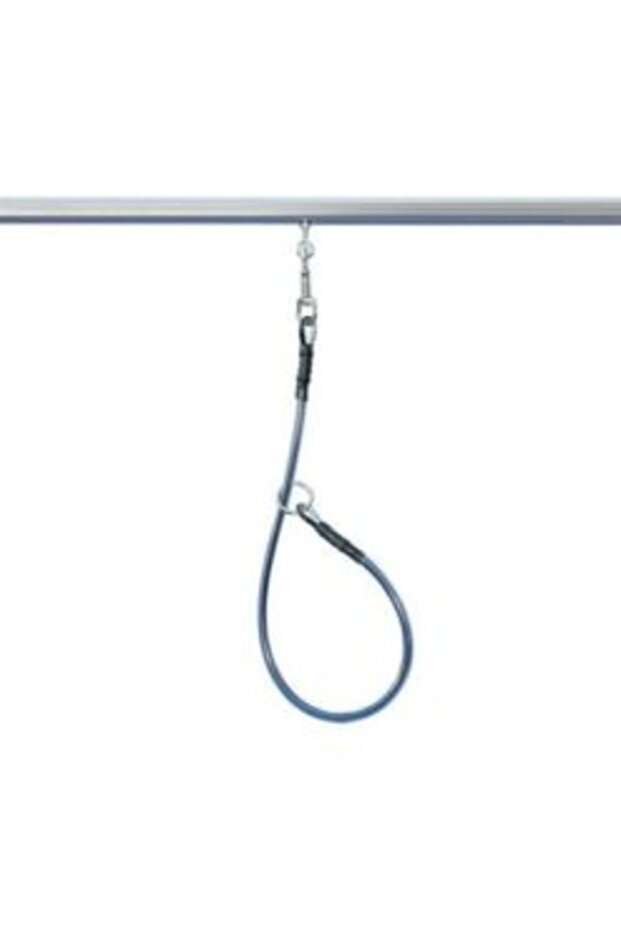 Durable grooming table leash - 2