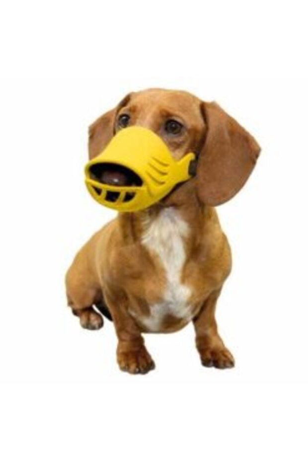 silicone muzzle - 8