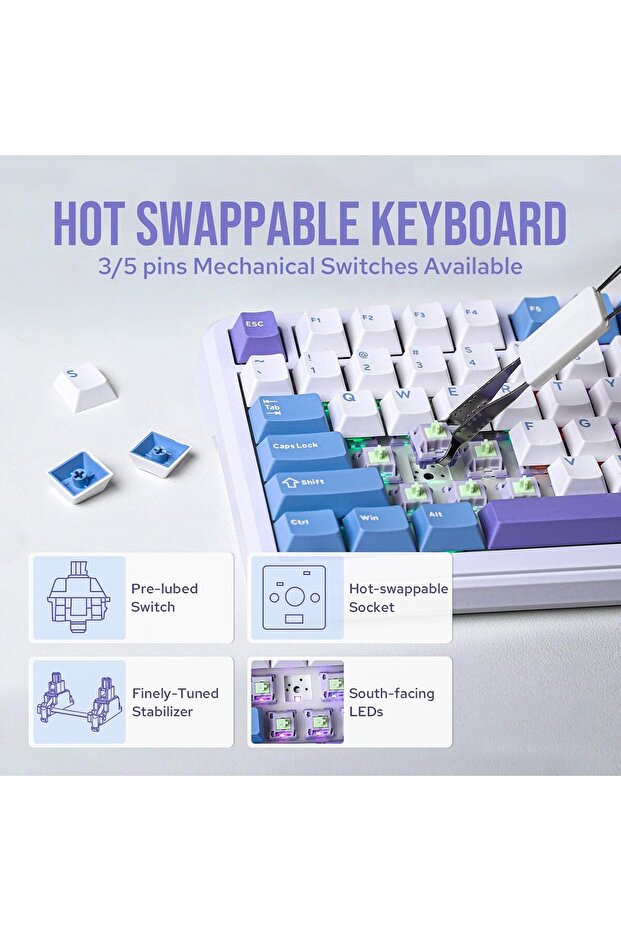 Cypher81 75% Mechanical Keyboard with TFT Screen & Knob (Flamingo Switch) - 5