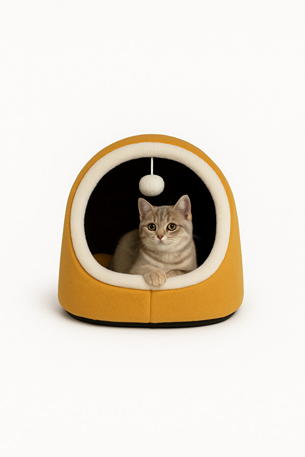 Alaska Model Kedi Evi - 1