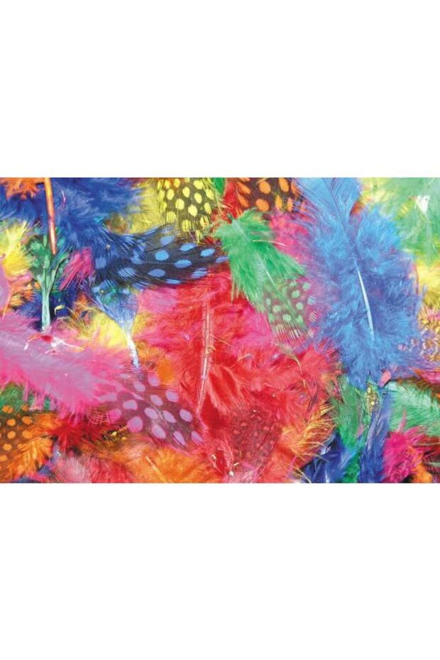 Feathers - Small Spot & Plume