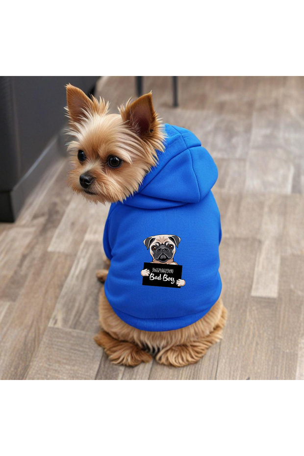 Blue Wanted Pug Printed Dog Sweatshirt | Hooded, Fleece Fabric, Winter Dog Clothing