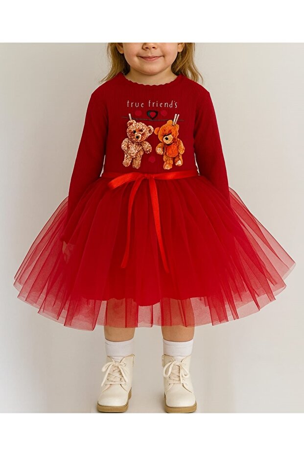 Long Sleeve Lined Printed Girls Tutu Dress