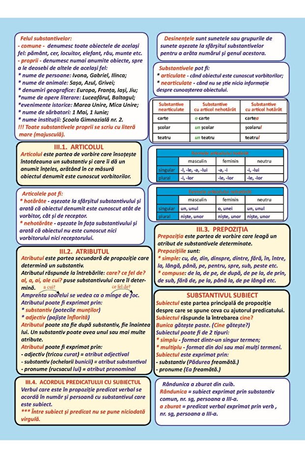 PLANȘĂ GRAMATICĂ CLASA 5 - 4