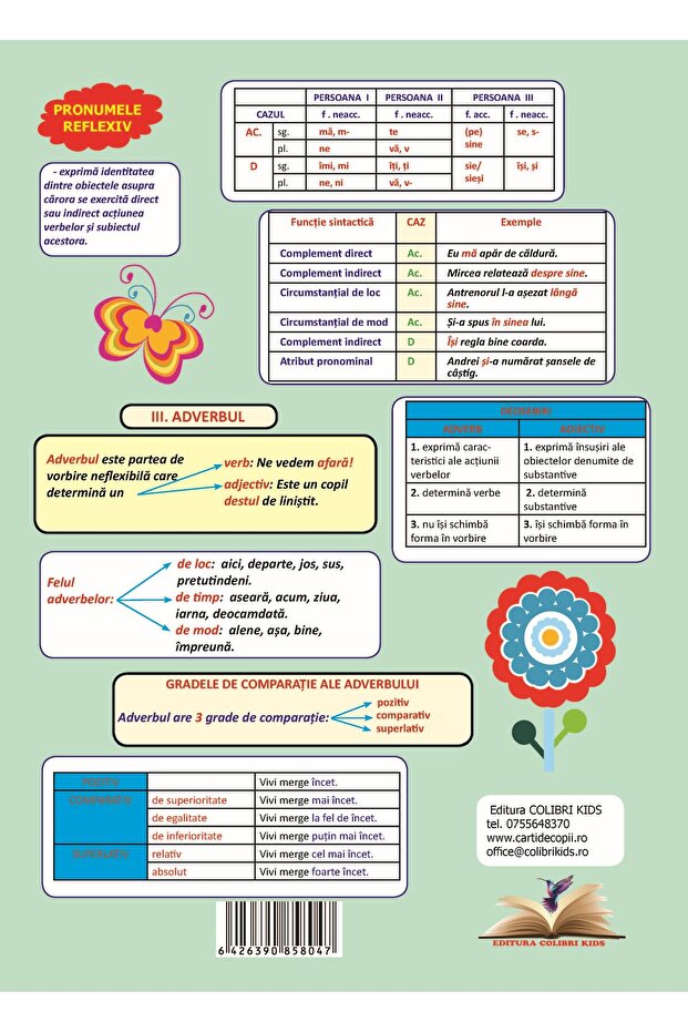 Plansa. Gramatica - Clasa 6 Partea 2 - 4