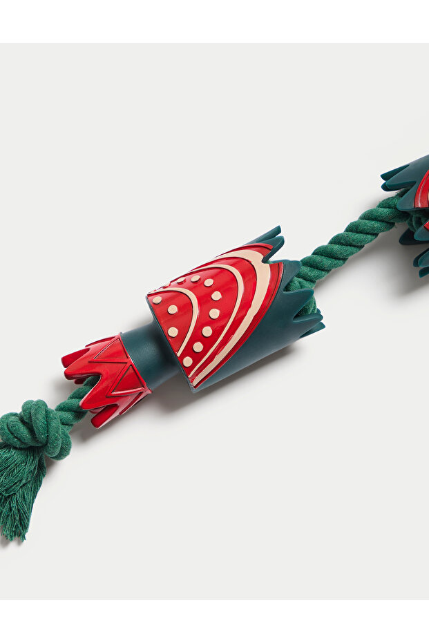 Evcil Hayvan Oyuncağı - 3