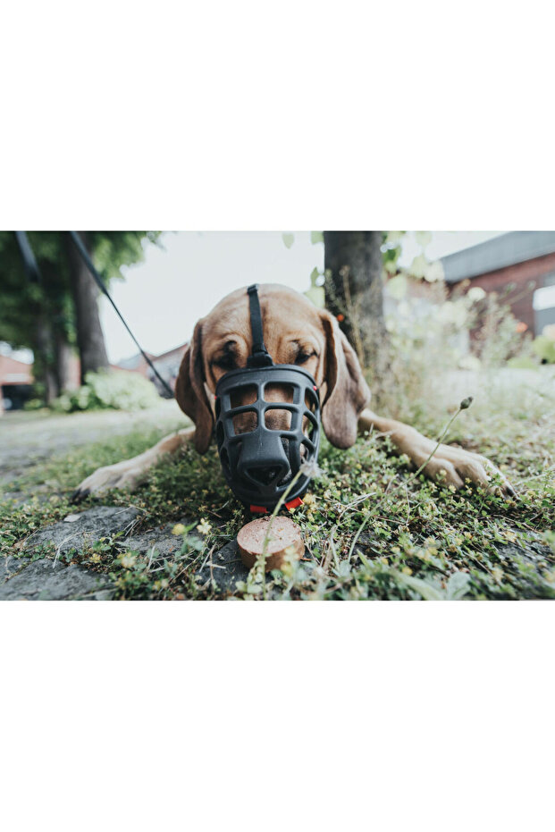 Muzzle Albury Black 2 - 8