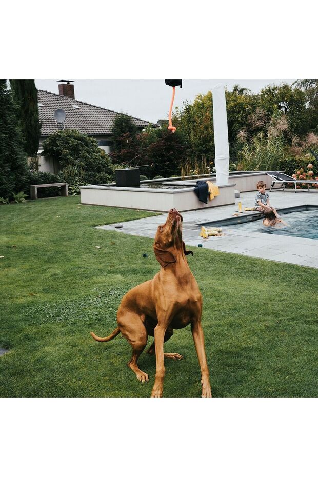 Packaging Dummy Snacks Black Orange - 6