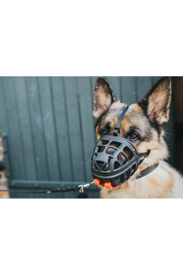 Muzzle Albury Black 2 - 13