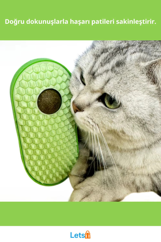 عشبة القط الممتعة مع أداة التدليك السيليكونية - 2