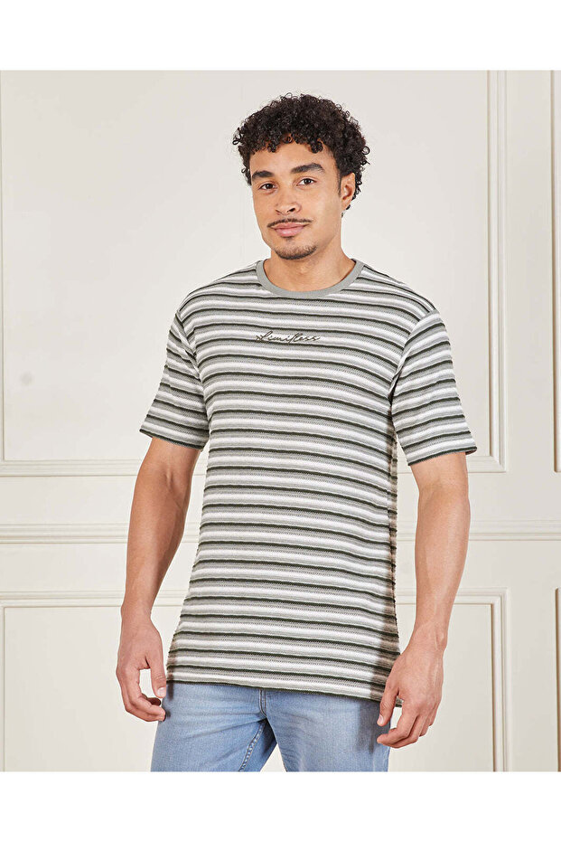 Men Grey Striped T-Shirt