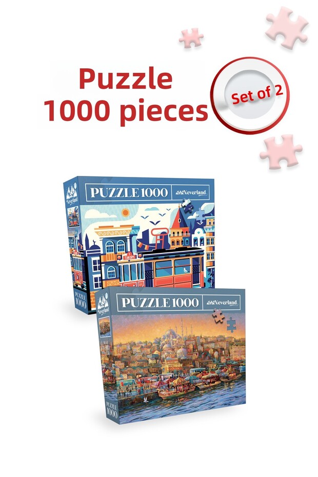 2 pieces of 1000 piece puzzle - istanbul evening and istanbul