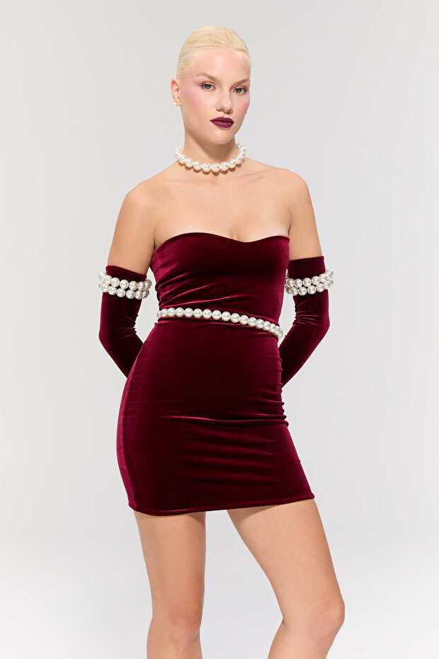Eternal Mini Burgundy Dress