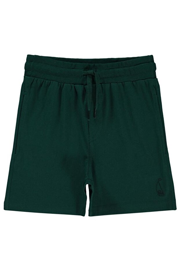 Sail Embroidered Single Jersey 2-5 Years Old Capri - Green 4-5 Years Old