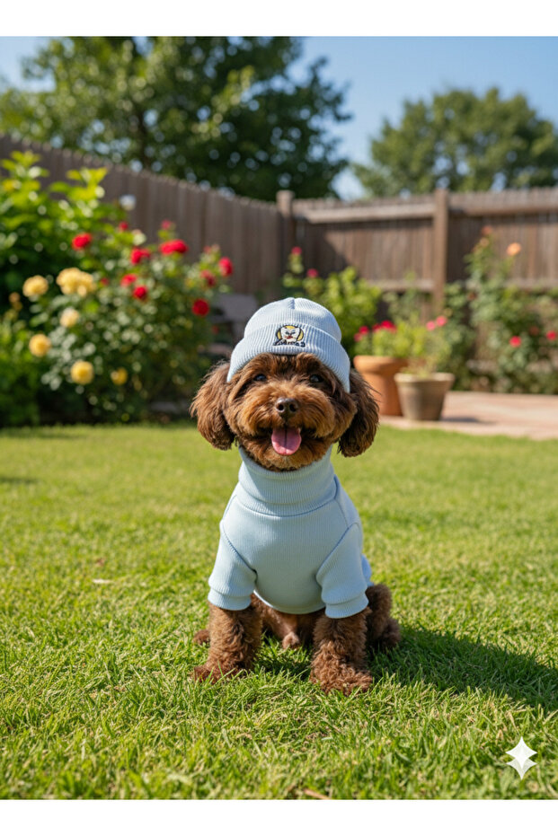 Handmade Ribbed Fabric High-Necked Dog Outfit and Hat Set (for Small and Medium Breeds)