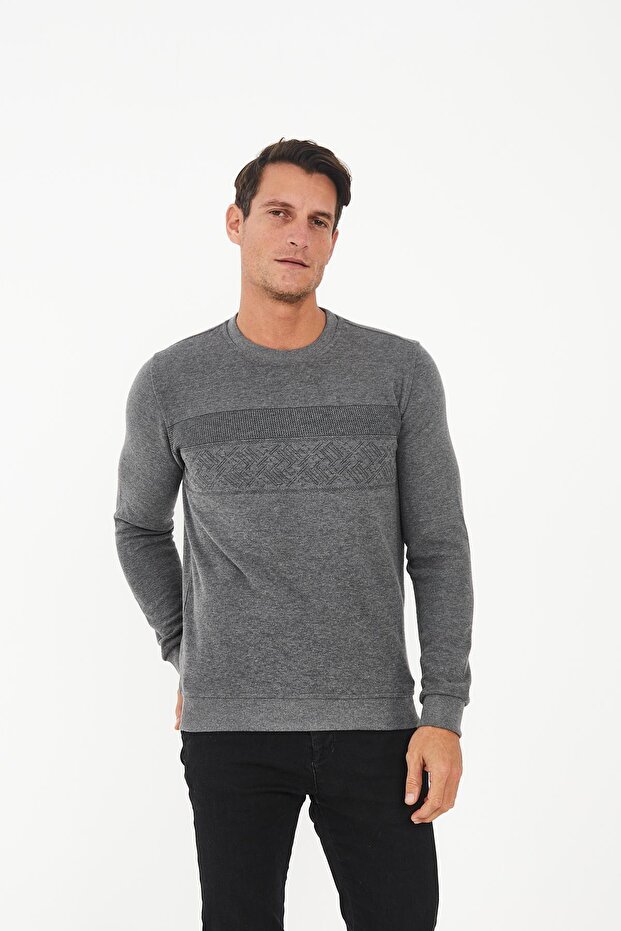 Men's Crew Neck Patterned Long Basic Sweatshirt Gray - 1