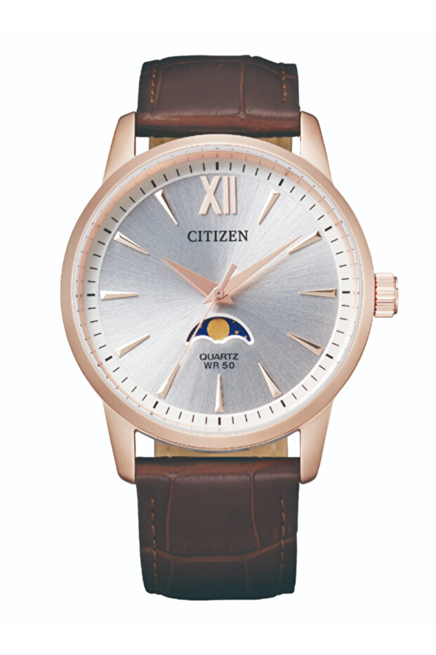 Men's Analog Silver Dial Watch - AK5003-05A