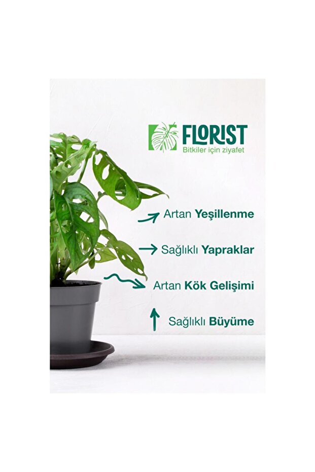 Yeşil Yapraklı Bitkiler Sıvı Konsantre Bitki Besini - 5