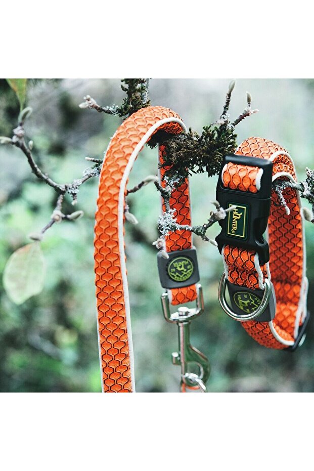 Dog collar Basic Thread Orange Size M (33-50 cm) - 3