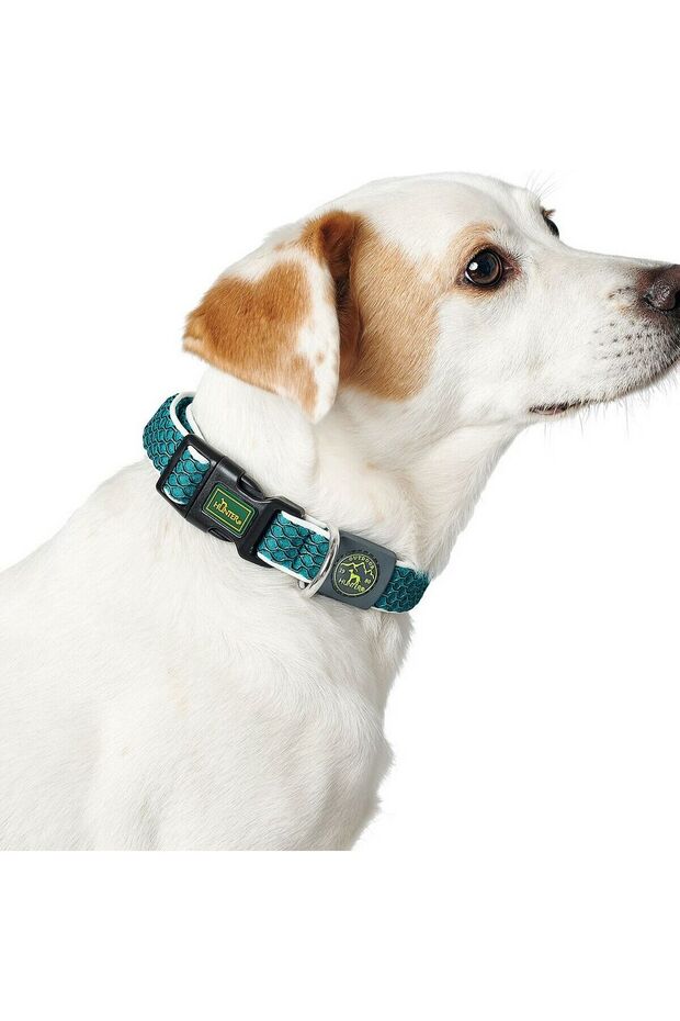 Dog collar Basic Thread Size M Lime (33-50 cm) - 1