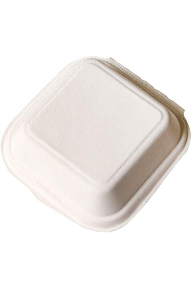Paper Lunch Box Disposable Plastic Food Lunch Bowl，Environmentally friendly Sugar cane pulp material lunch box，Dim sum cake box，Creative hand-painted lunch box[20 Packs].