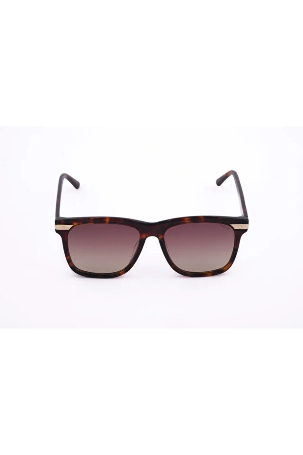 1406 C.4 55-17 Sunglasses