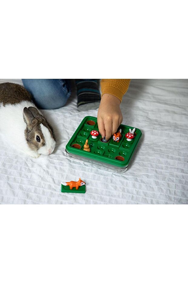 Jump In Zeka Oyuncağı - 6