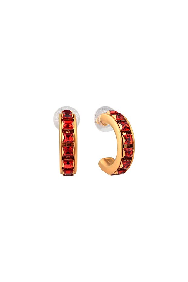 Red Stone Earrings