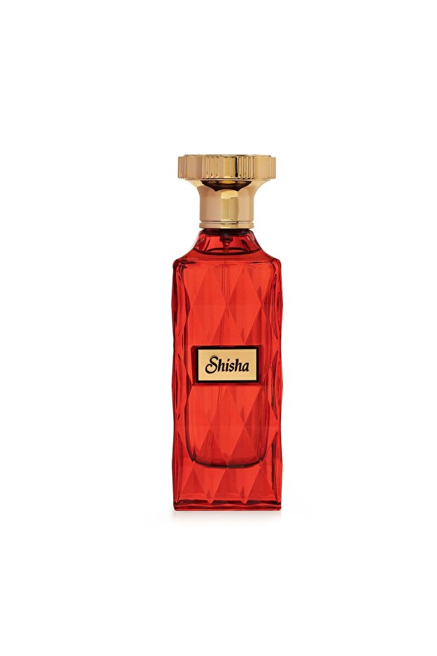 SHISHA 100 ML - EDP