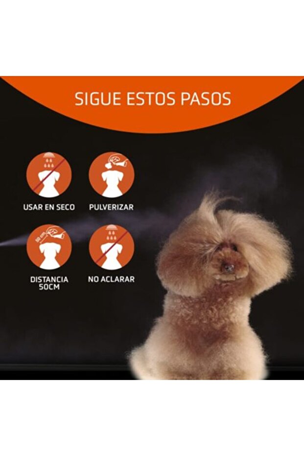 Speed Professional Dry Shampoo - 4