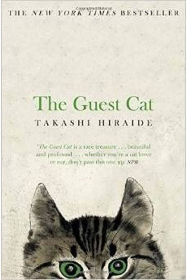 Guest Cat - 1