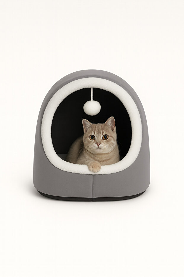 Alaska Model Kedi Evi - 1