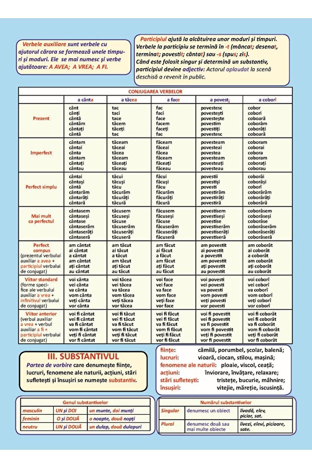 PLANȘĂ GRAMATICĂ CLASA 5 - 3